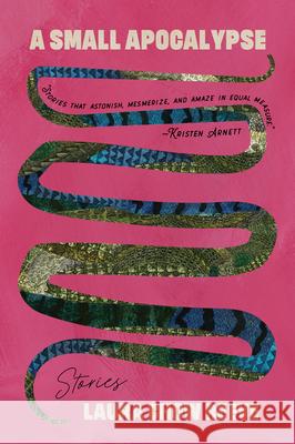 A Small Apocalypse: Stories Laura Chow Reeve 9780810146945 Triquarterly Books - książka