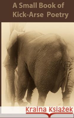 A Small Book of Kick-Arse Poetry Dr Lissa Elaine Judd 9780473225629 Idea Factory - książka
