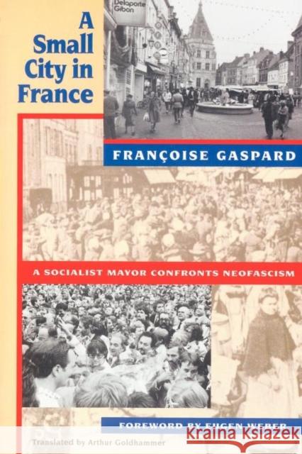 A Small City in France Francoise Gaspard Arthur Goldhammer Eugen Weber 9780674810976 Harvard University Press - książka