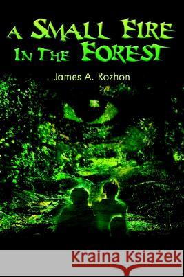 A Small Fire in the Forest James Rozhon 9780595240999 Writer's Showcase Press - książka