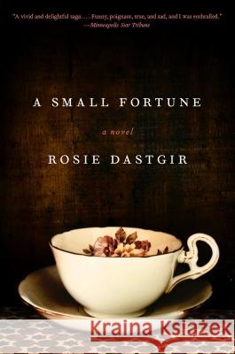 A Small Fortune Rosie Dastgir 9781594631511 Riverhead Books - książka