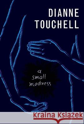 A Small Madness Diane Touchell 9781554988372 Groundwood Books - książka