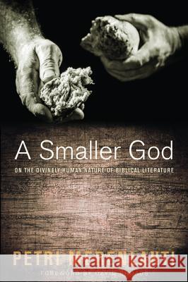 A Smaller God Petri Merenlahti David Rhoads 9781625644107 Cascade Books - książka