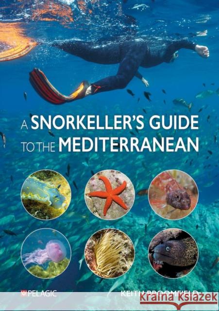 A Snorkeller’s Guide to the Mediterranean Keith Broomfield 9781784274863 Pelagic Publishing - książka