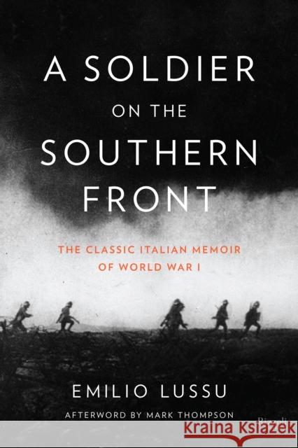 A Soldier on the Southern Front: The Classic Italian Memoir of World War 1 Lussu, Emilio 9780847842780 Rizzoli International Publications - książka