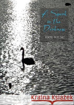 A Spark in the Darkness Kate Young 9781913499167 Hedgehog Poetry Press - książka