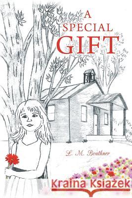 A Special Gift L. M. Bouthner 9781635254044 Christian Faith Publishing, Inc. - książka