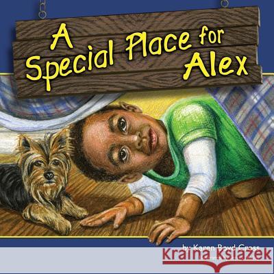 A Special Place for Alex Karen Boyd Cross 9780578183275 Harding and Lea Educational Group - książka