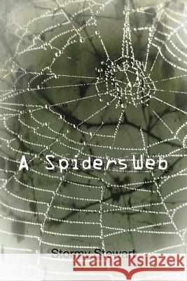 A Spiders Web Stormy Stewart 9781477110270 Xlibris Corporation - książka