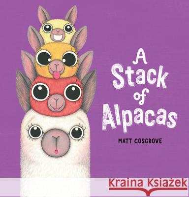 A Stack of Alpacas Cosgrove, Matt 9781338716221 Scholastic Press - książka