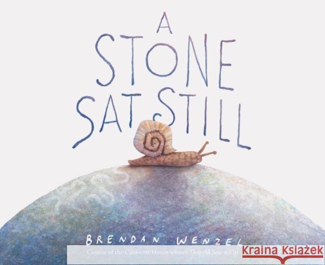 A Stone Sat Still  9781452173184 Chronicle Books - książka