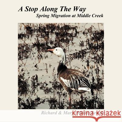 A Stop Along The Way: Spring Migration at Middle Creek Sewalt, Richard &. Mary (Mikki) 9781449763848 WestBow Press - książka