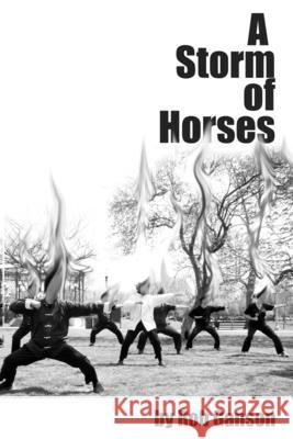 A Storm of Horses Rob Ganson 9781257983957 Lulu Press - książka
