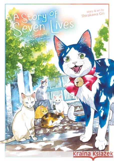 A Story of Seven Lives Shirakawa Gin 9781638588269 Seven Seas Entertainment, LLC - książka