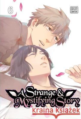 A Strange & Mystifying Story, Vol. 6 Suzuki, Tsuta 9781421596006 Sublime - książka