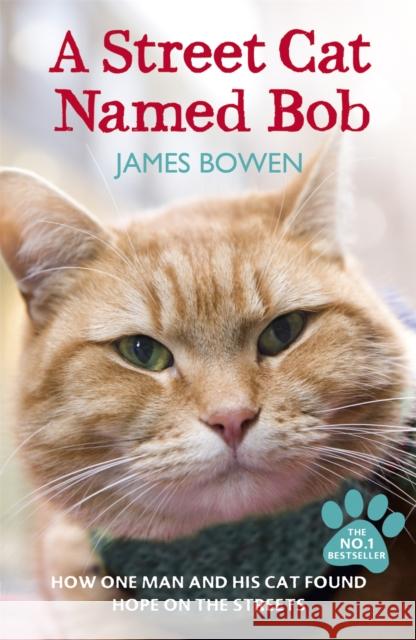 A Street Cat Named Bob: How one man and his cat found hope on the streets James Bowen 9781444737110 Hodder & Stoughton - książka