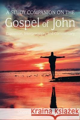 A Study Companion on the Gospel of John: 978-1-63528-116-3 Sherrill G. Stevens 9781635281163 Nurturing Faith Inc. - książka