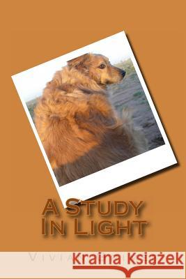 A Study In Light Grimes, Vivian 9781477556467 Createspace Independent Publishing Platform - książka