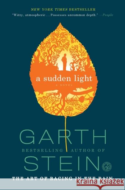 A Sudden Light Garth Stein 9781439187043 Simon & Schuster - książka