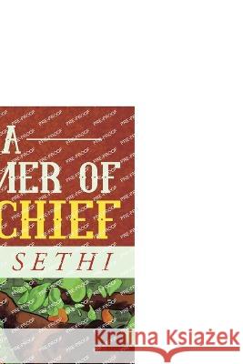 A Summer of Mischief Sona Sethi 9798887499963 Notion Press - książka