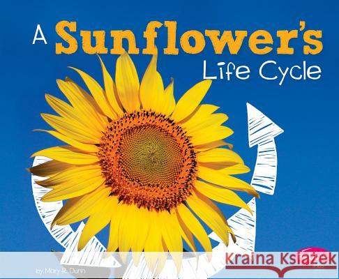 A Sunflower's Life Cycle Mary R. Dunn 9781515770565 Capstone Press - książka