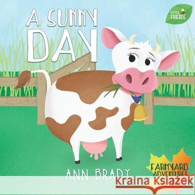 A Sunny Day Ann Brady   9781912472253 Wordcatcher Publishing - książka