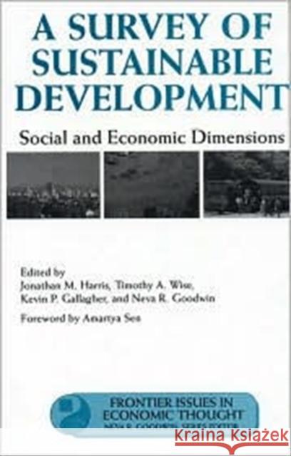 A Survey of Sustainable Development: Social and Economic Dimensionsvolume 6 Harris, Jonathan 9781559638630 Island Press - książka