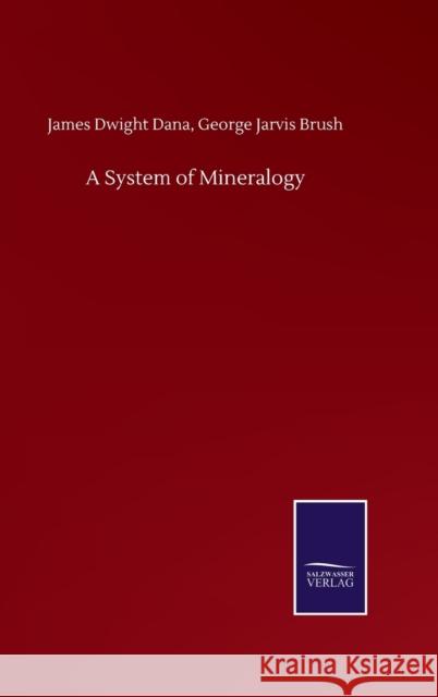 A System of Mineralogy James Dwight Brush George Jarvis Dana 9783752512892 Salzwasser-Verlag Gmbh - książka