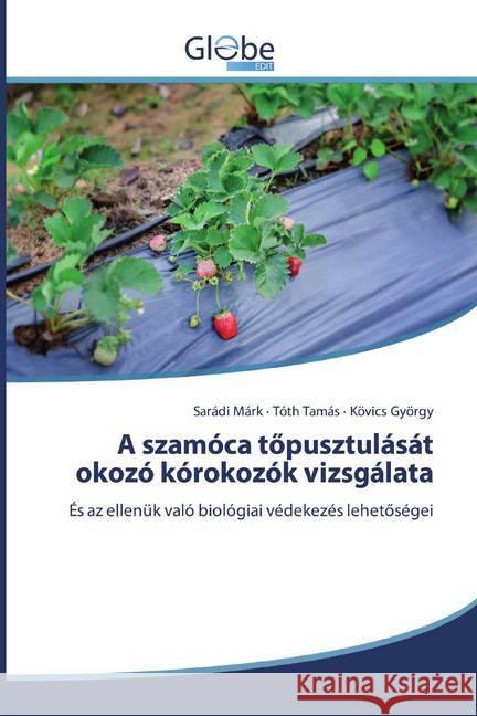 A szamóca töpusztulását okozó kórokozók vizsgálata : És az ellenük való biológiai védekezés lehetöségei Márk, Sarádi; Tamás, Tóth; György, Kövics 9786139416813 GlobeEdit - książka