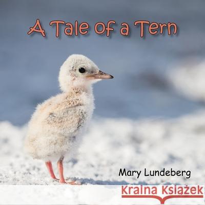 A Tale of a Tern Mary A. Lundeberg Diane Reynolds Dean Laux 9781942340126 Nature Connections - książka
