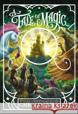 A Tale of Magic... Chris Colfer 9780316523479 Little, Brown Books for Young Readers - książka