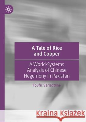 A Tale of Rice and Copper Toufic Sarieddine 9789819735105 Springer Nature Singapore - książka