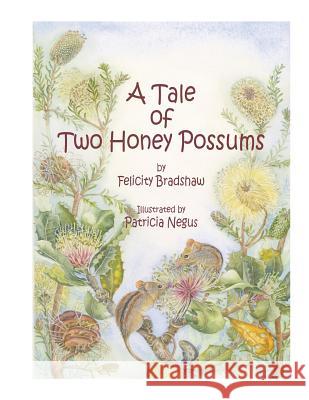 A Tale of Two Honey Possums MS Felicity Jane Bradshaw Mrs Patricia Negus 9780646502465 Honey Possum South-West - książka