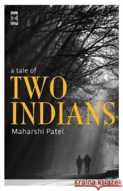 A Tale Of Two Indians Patel, Maharshi 9789350291153 HarperCollins India - książka