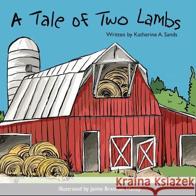 A Tale of Two Lambs Katherine A. Sands Jaime Brannon Haney 9781482531879 Createspace - książka