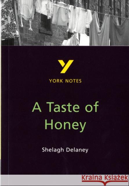 A Taste of Honey York Notes GCSE English Literature Study Guide - for 2026, 2027 exams Bernadette Dyer 9780582382299 Pearson Education Limited - książka
