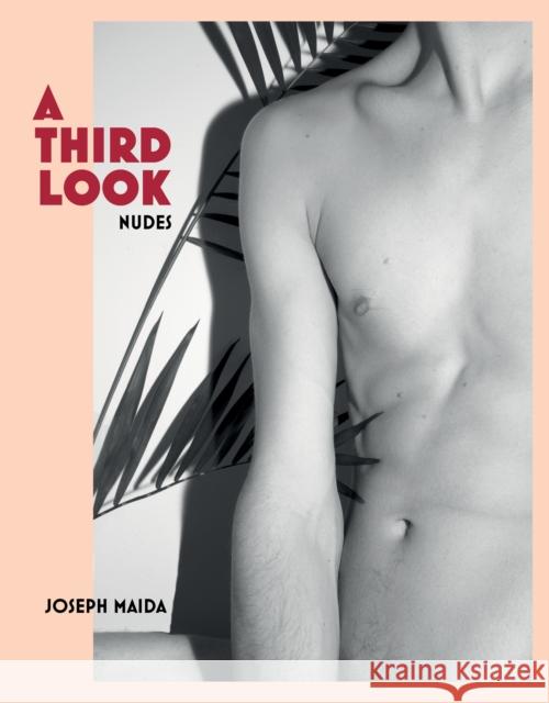 A Third Look Joseph Maida 9781734018080 Convoke - książka