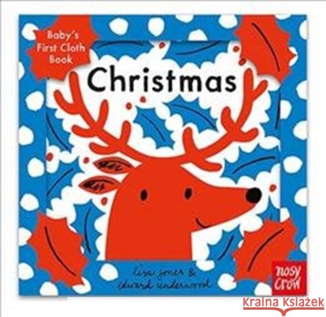 A Tiny Little Story: Christmas Jones, Lisa 9781788002639 Nosy Crow Ltd - książka