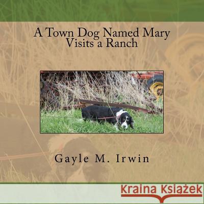 A Town Dog Named Mary Visits a Ranch Gayle M. Irwin 9781548685843 Createspace Independent Publishing Platform - książka