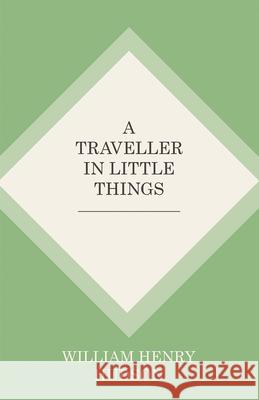 A Traveller in Little Things William Henry Hudson 9781473335714 Thousand Fields - książka