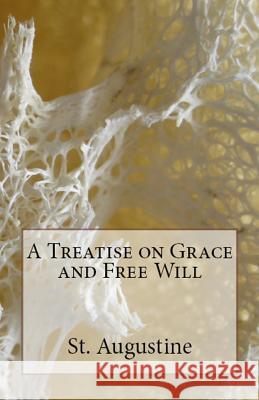 A Treatise on Grace and Free Will St Augustine, A M Overett, Peter Holmes 9781643730202 Lighthouse Publishing - książka