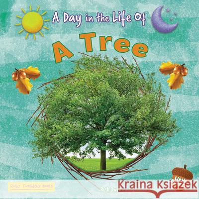 A Tree Ruth Owen 9781788565042 Ruby Tuesday Books - książka