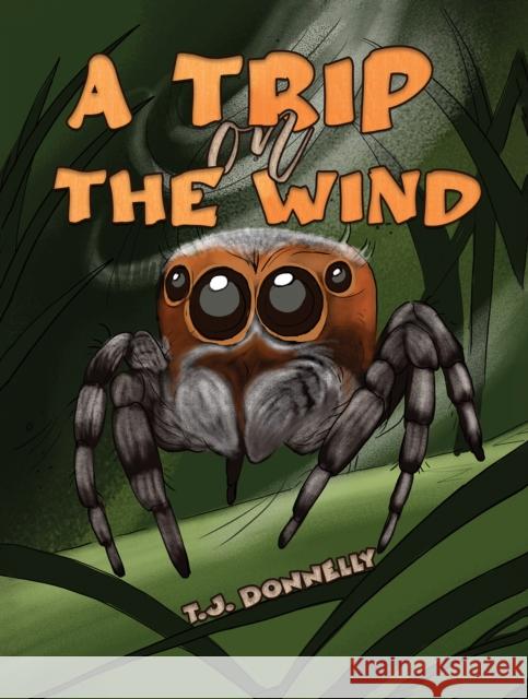 A Trip on the Wind T.J. Donnelly 9781035826803 Austin Macauley Publishers - książka