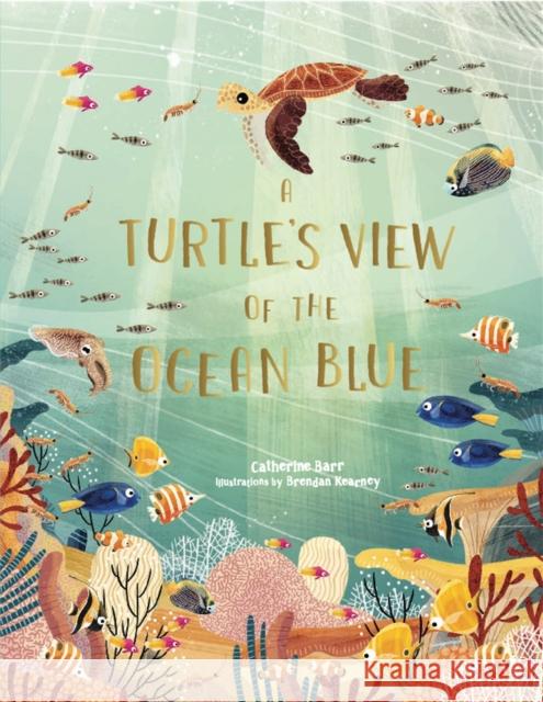 A Turtle's View of the Ocean Blue Catherine Barr 9781786279095 Hachette Children's Group - książka