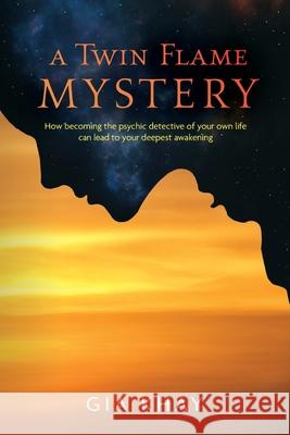 A Twin Flame Mystery Gia Khay 9781685152178 Palmetto Publishing - książka
