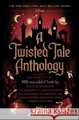 A Twisted Tale Anthology Elizabeth Lim Kristina Perez 9781368080415 Disney Hyperion - książka