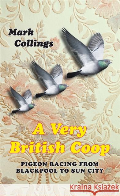 A Very British Coop: Pigeon Racing From Blackpool to Sun City Collings, Mark 9781447249085  - książka