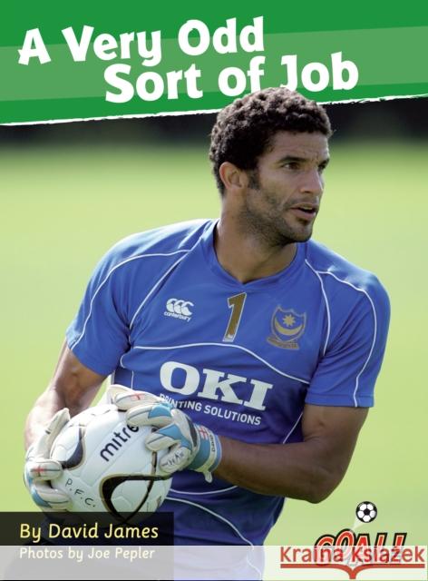 A Very Odd Sort of Job: Level 4 James David 9781841678665  - książka