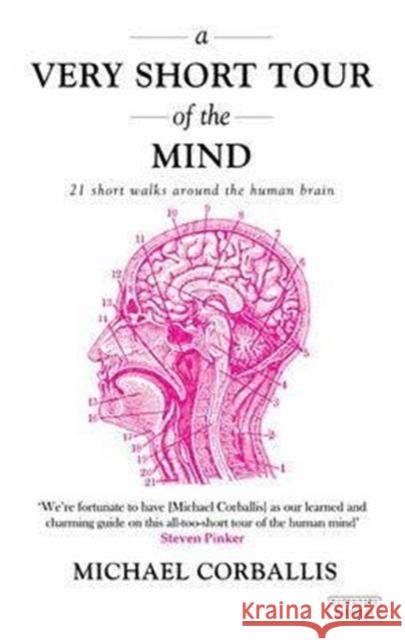 A Very Short Tour of the Mind: 21 Short Walks Around the Human Brain Michael Corballis 9780715647479 G DUCKWORTH - książka