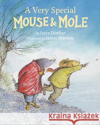 A Very Special Mouse and Mole Joyce Dunbar James Mayhew 9781595729347 Star Bright Books - książka
